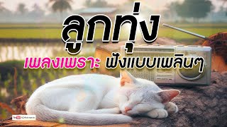 ลูกทุ่ง เพลงเพราะฟังแบบเพลินๆ - รวมเพลงฟังต่อเนื่อง #ฟังแบบต่อเนื่อง