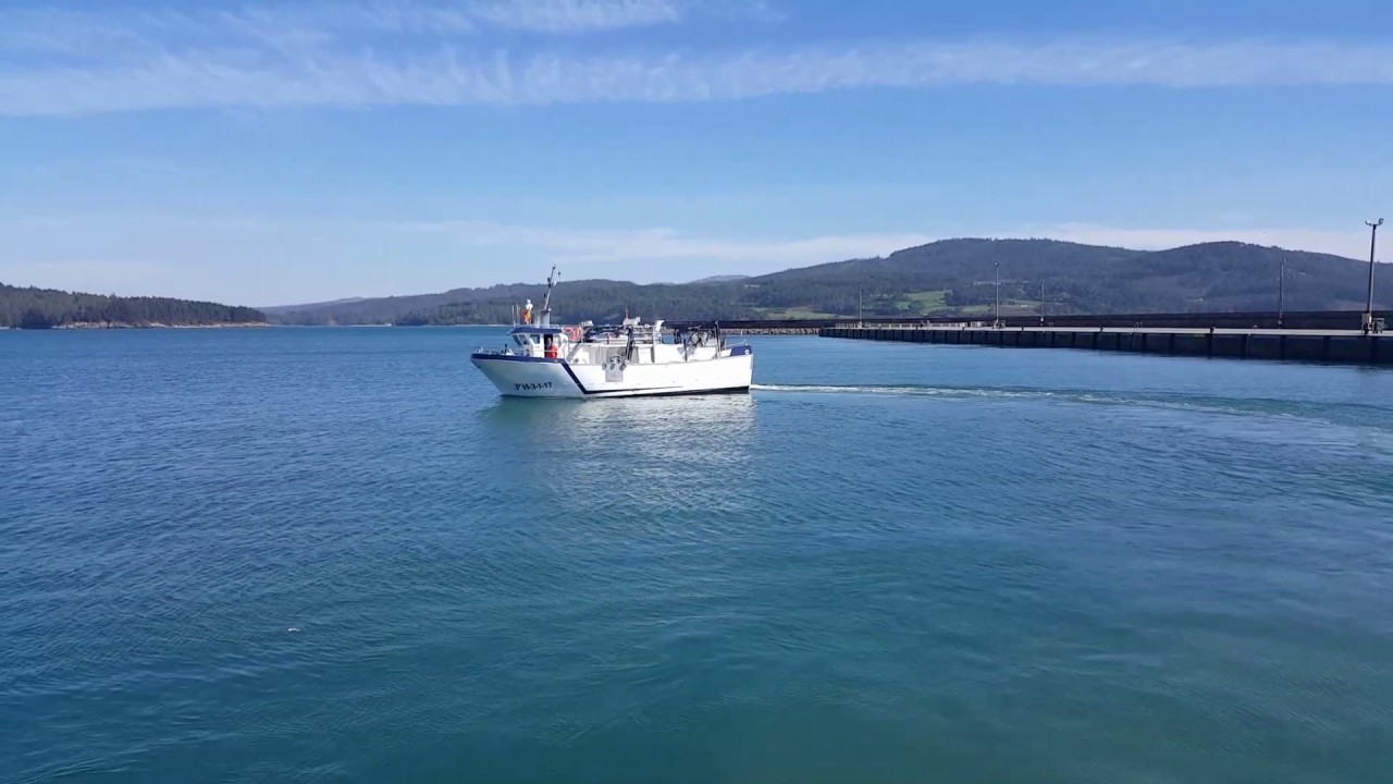 Barcos de cerco