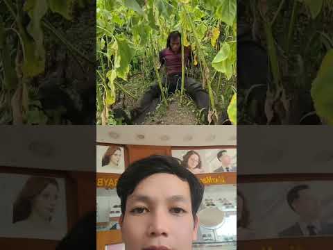 bậc thầy thời gian #shortvideo #funny