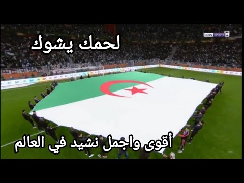 اسمع لحضة عزف النشيد الوطني الجزائري وردة فعل حفيظ دراجي