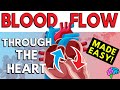 Understanding Blood Flow Through the Heart