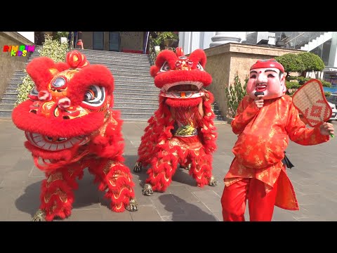 Múa Lân - Tết là tết tết đến rồi, Ngày tết quê em - Nhạc xuân tết thiếu nhi Xúc xắc xúc xẻ