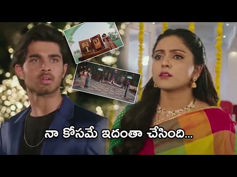 నా కోసమే నా ఇదంతా చేసింది..? || Pelli Sandadi Movie Vithika Asked With Roshann || TFC Telugu Videos