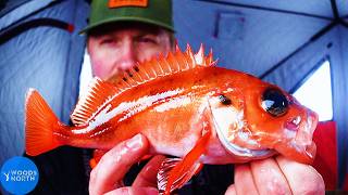 Ice Fishing the Saguenay Fjord | Quebec, Canada