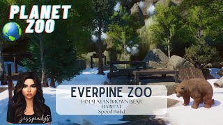 Planet Zoo Himalayan Brown Bear Habitat Speed Build Everpine Zoo