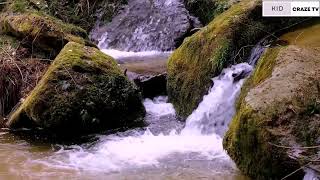Deep Sleep & Stress Relief Music - Calm Your Mind, Relaxing Melodies for Inner Peace, Relax Time