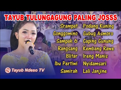 TAYUB TULUNGAGUNG FULL ALBUM PALING ENAK DI DENGAR