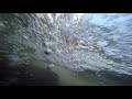 Water Erosion and Ecosystem Impact