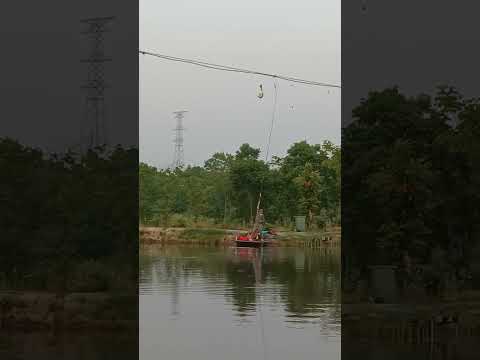 Các bác cho hỏi sao con cá nó lại lên đấy được nhỉ #cá #câu #fishing #vuive