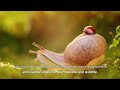 Exploring Urbanization's Effects on Biodiversity