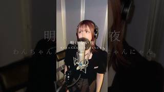 🎙️歌ってみた🎙️ #明けない夜 #わんちゃんにゃんにゃんねこにゃんにゃん #cover #ファイナリー