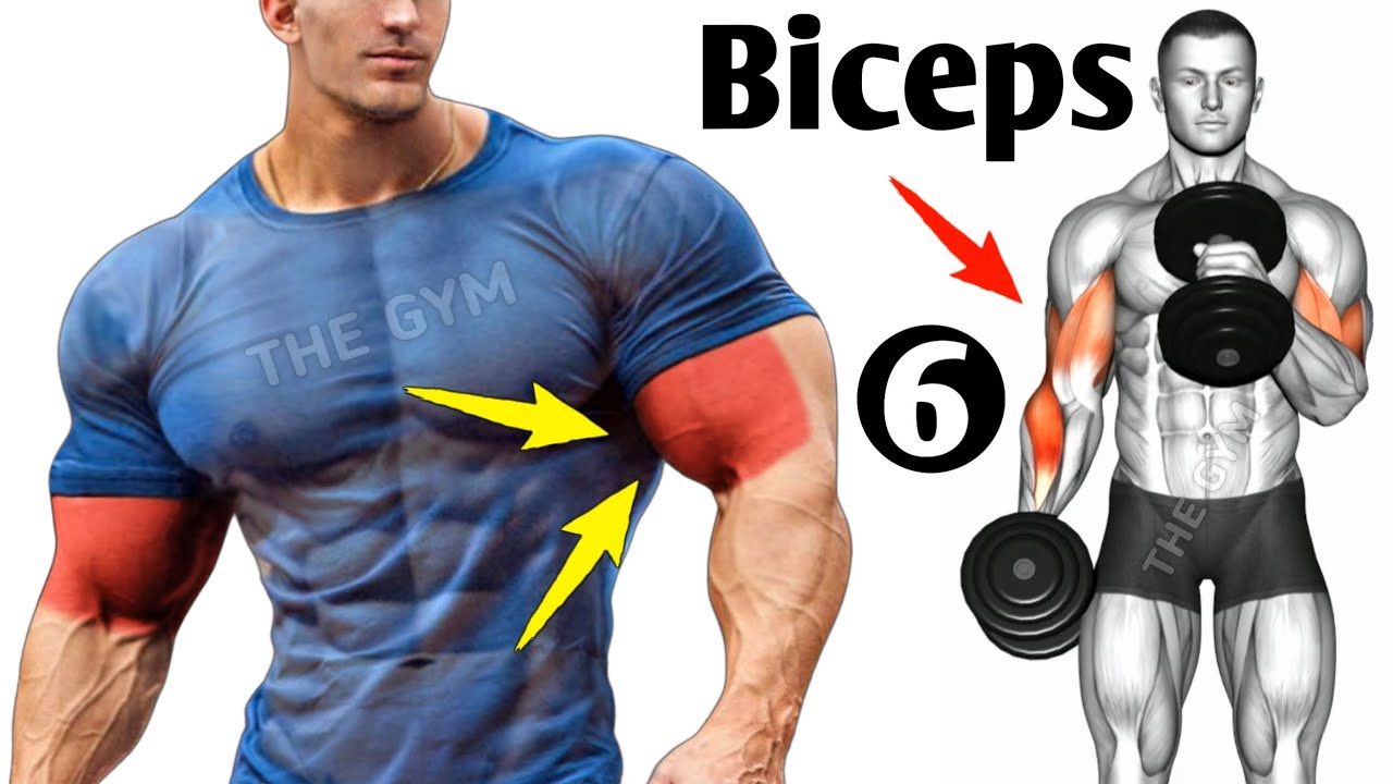 6 Huge Biceps Exercises ( fastest )