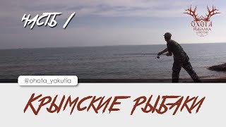 видео