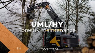 The FAE forestry mulcher with fixed tooth rotor for excavators from 7 to 15 t