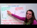 Exploring Population Growth Dynamics