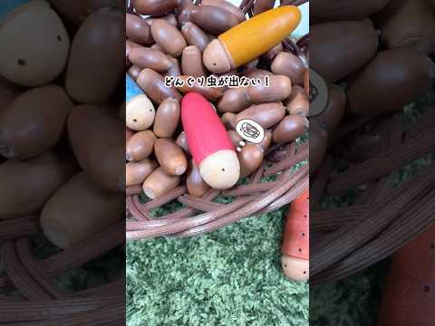 【楽チン！】どんぐり虫 これで出ない！ ＃short