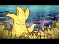 Zooks and Coral Ecosystems