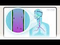Humidifiers and Respiratory Health