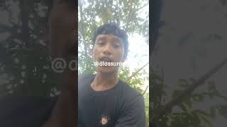 sarang full segel #shortvideo #shorts #maduhutan #lebahhutan #honey #bee #beef