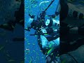 Reef Recovery and Resilience Analysis