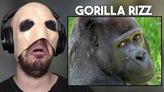 Gorilla Rizz! - [YTP] Inside A Gorilla's Butt Edition - Reaction!