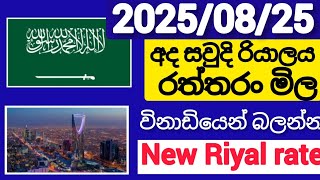 $$ saudi riyal exchange rate today remittance|riyal exchange rate saudi 2️⃣0️⃣2️⃣5️⃣ 0️⃣8️⃣ 2️⃣5️⃣