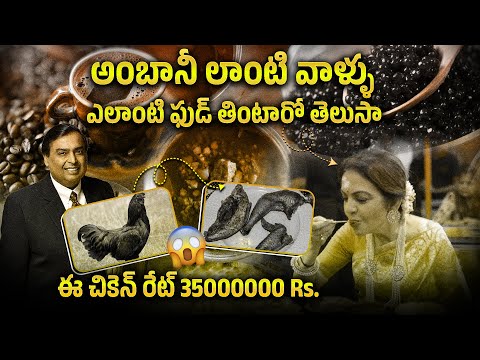 అంబానీలు ఎలాంటి ఫుడ్ తింటారో తెలుసా 😱😱 | TOP 10 Costliest Foods In The World | Pocket Tv Facts