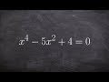 Polynomial Solutions and Properties