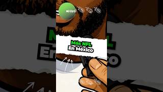 ¡Más NFL en México! Comprometimos a Jalen Rivers y Cam McCormick para que ayuden #chirichirideportes