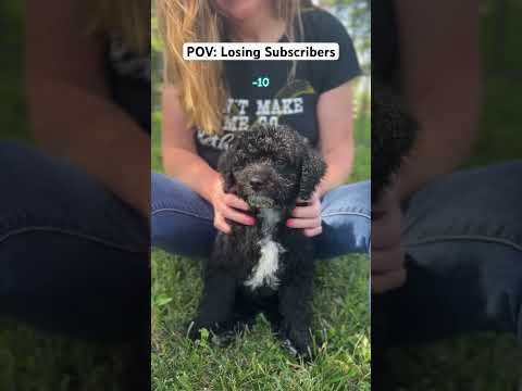 Are you subscribed? 🥺🐶❤️ #cutenessoverload