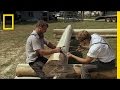 Log Fitting and Chainsaw Techniques