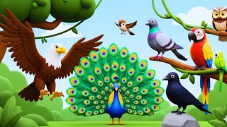 🐦 Birds Song: Learn Bird Names & Habitats with 3d animation: Fun Bird Watching for Kids! KG | Kids 🐦