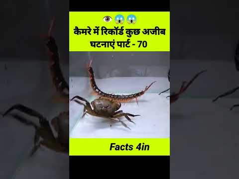 कैमरे में रिकॉर्ड कुछ अजीब घटनाएं पार्ट-70 😱 unbelievable moments caught on camera, #shorts