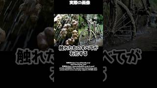 触れたものが石化する泉！？イギリスにある“不思議な泉”の正体がヤバすぎた！ #shorts