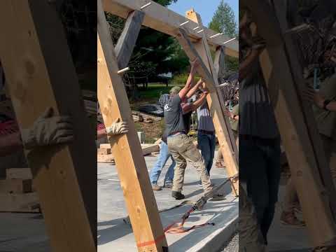 Timberframe Raising!!! #timberframe #joinery #timber #postandbeam #dewyacres