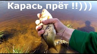 видео