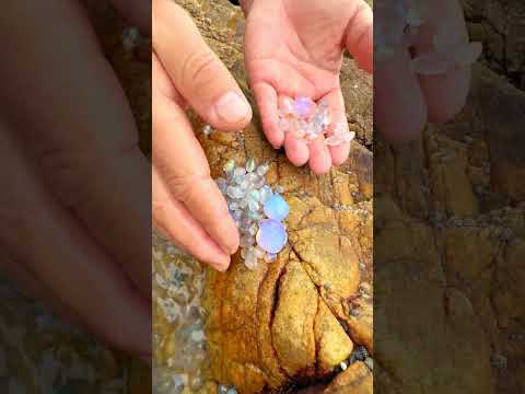 Rainbow Beach's Crystal Secrets, but beneath the sand lies a secret world of crystals.
