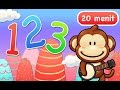Counting Animals and Objects