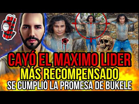 DIOS MÍO CAYÓ EL VERDADERO LID3R ?