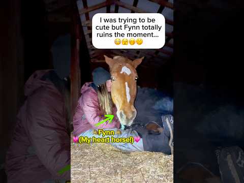 Fynn ruins what’s going to be a beautiful moment. 😳💗🤭🐴🫣 #alchemyacres #horses #hearthorse