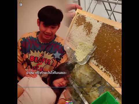 #pov