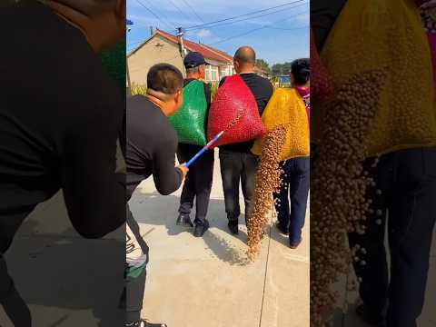 Папу поймали! ✨😂#funny#funnyvideos