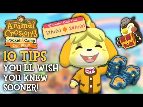 10 Things I WISH I Knew Sooner in Pocket Camp Complete