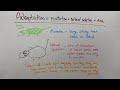 Adaptation and Natural Selection Concepts
