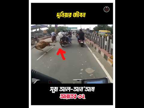 দুনিয়ায় জীবন খেল তামাশা ছাড়া আর কিছুই নয় || #ayat #quran #recitation #shorts
