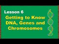DNA Structure and Function Assessment