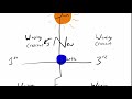 Understanding Moon Phases and Cycles