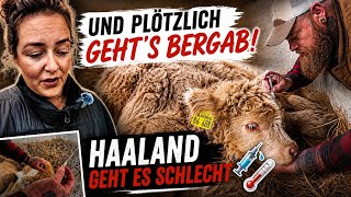 Und plötzlich geht’s bergab. 😞 Haaland geht’s schlecht 