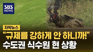 "규제를 강하게 안 하니까!" 수도권 식수원 현 상황 '충격' (자막뉴스) / SBS
