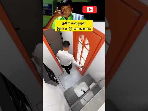 ஒரே கல்லுல இரண்டு மாங்காய் #shortsfeed  #trendingvideo #shorts #shortsviral #shortvideo